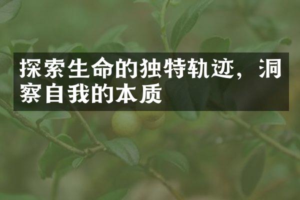 探索生命的独特轨迹，洞察自我的本质