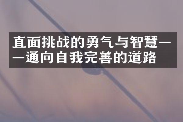 直面挑战的勇气与智慧&mdash;&mdash;通向自我完善的道路