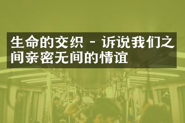 生命的交织 - 诉说我们之间亲密无间的情谊