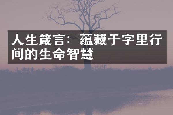 人生箴言：蕴藏于字里行间的生命智慧