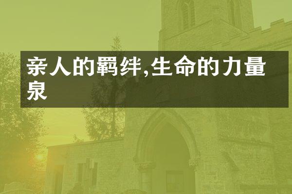 亲人的羁绊,生命的力量源泉