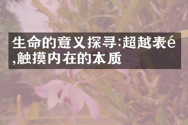 生命的意义探寻:超越表面,触摸内在的本质