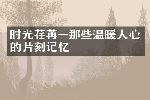 时光荏苒&mdash;那些温暖人心的片刻记忆