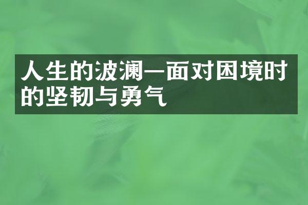人生的波澜&mdash;面对困境时的坚韧与勇气