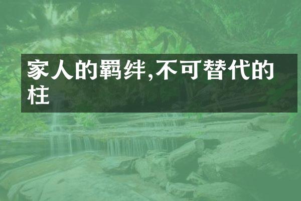 家人的羁绊,不可替代的支柱