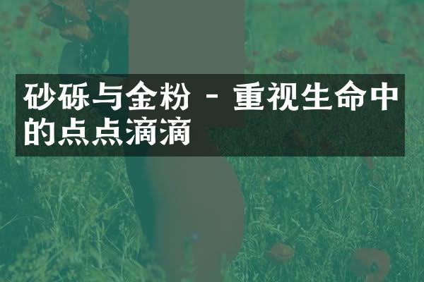 砂砾与金粉 - 重视生命中的点点滴滴