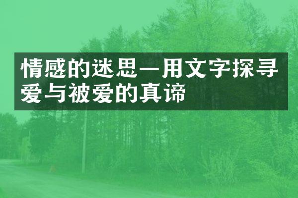 情感的迷思&mdash;用文字探寻爱与被爱的真谛