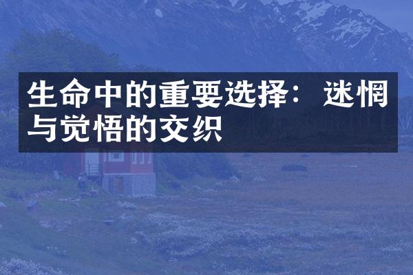 生命中的重要选择：迷惘与觉悟的交织