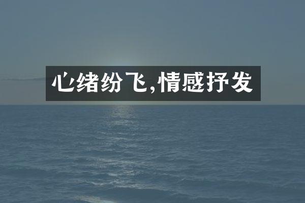 心绪纷飞,情感抒发