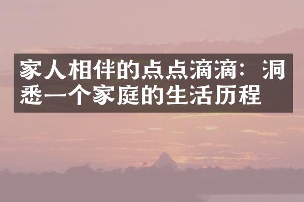家人相伴的点点滴滴：洞悉一个家庭的生活