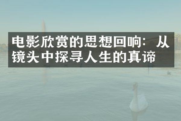 电影欣赏的思想回响：从镜头中探寻人生的真谛
