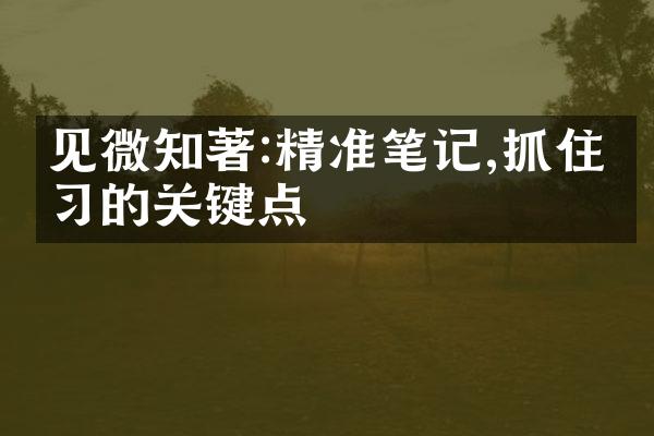 见微知著:精准笔记,抓住学的关键点
