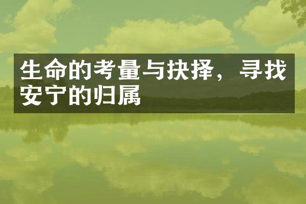 生命的考量与抉择，寻找安宁的归属