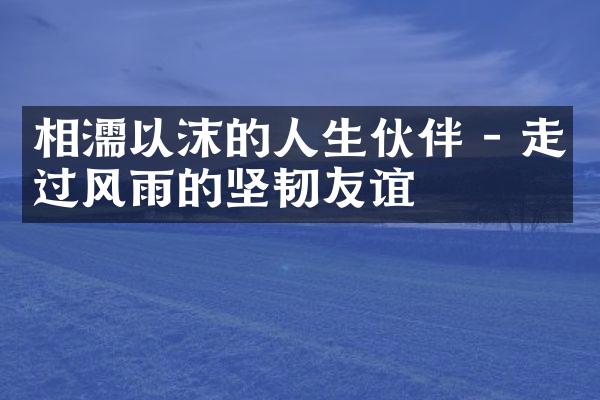 相濡以沫的人生伙伴 - 走过风雨的坚韧友谊