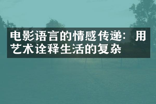 电影语言的情感传递:用艺术诠释生活的复杂