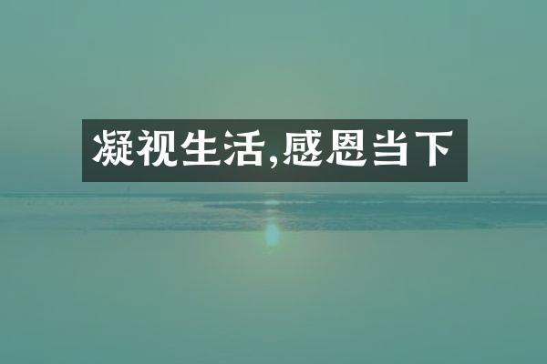 凝视生活,感恩当下