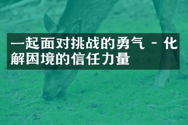 一起面对挑战的勇气 - 化解困境的信任力量
