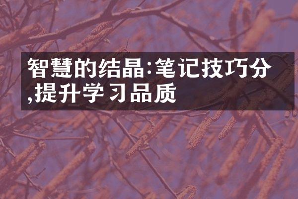 智慧的结晶:笔记技巧分享,提升学品质