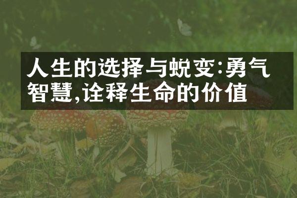 人生的选择与蜕变:勇气和智慧,诠释生命的价值