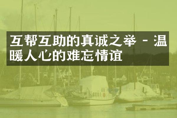 互帮互助的真诚之举 - 温暖人心的难忘情谊