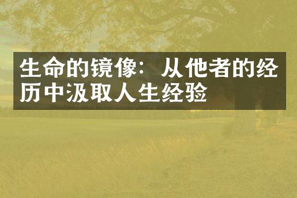 生命的镜像：从他者的经历中汲取人生经验