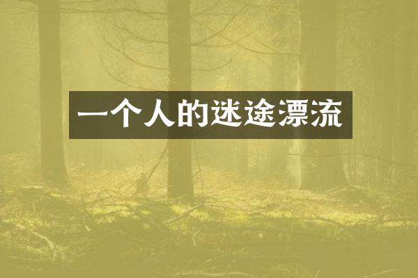 一个人的迷途漂流