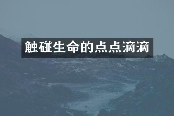 触碰生命的点点滴滴