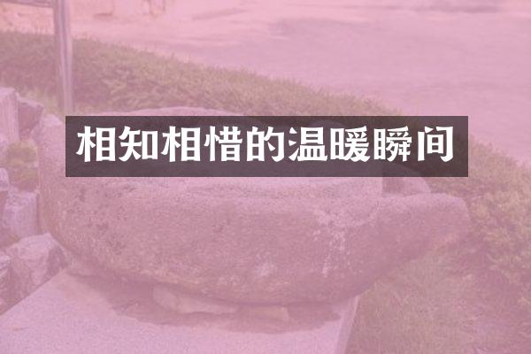 相知相惜的温暖瞬间