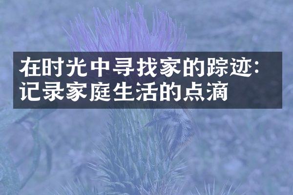 在时光中寻找家的踪迹：记录家庭生活的点滴