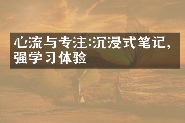 心流与专注:沉浸式笔记,增强学体验