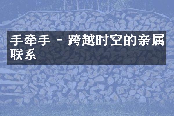 手牵手 - 跨越时空的亲属联系