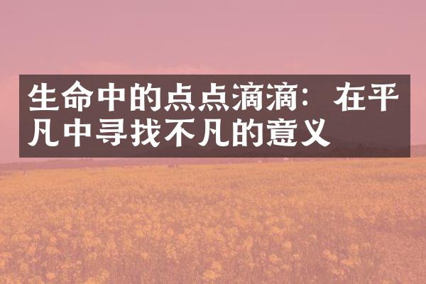 生命中的点点滴滴：在平凡中寻找不凡的意义