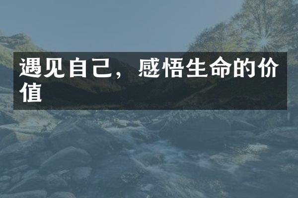 遇见自己，感悟生命的价值