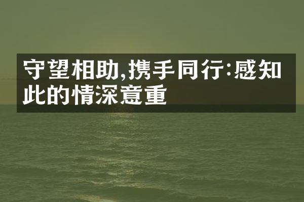 守望相助,携手同行:感知彼此的情深意重