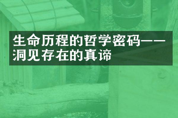 生命的哲学密码&mdash;&mdash;洞见存在的真谛