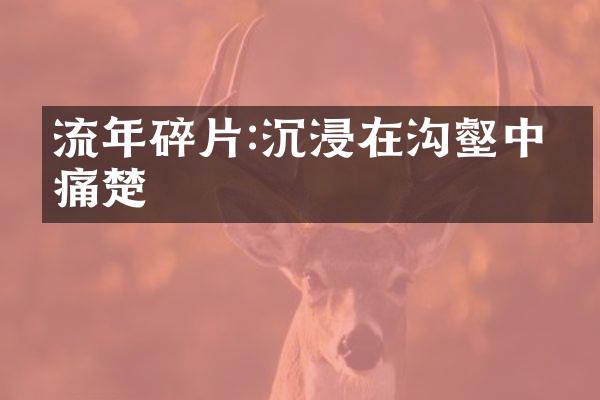 流年碎片:沉浸在沟壑中的痛楚