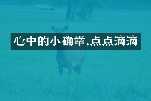 心中的小确幸,点点滴滴