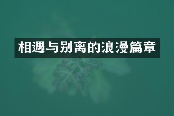 相遇与别离的浪漫篇章
