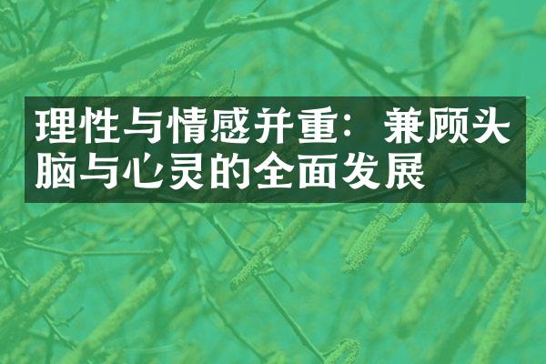 理性与情感并重：兼顾头脑与心灵的全面发展