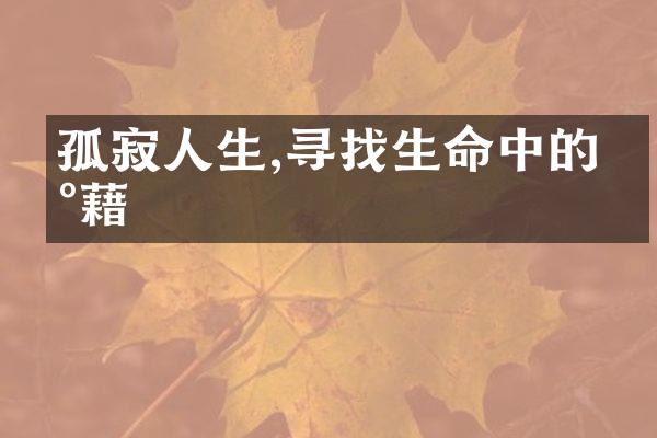 孤寂人生,寻找生命中的慰藉