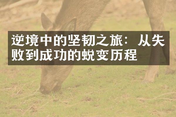 逆境中的坚韧之旅：从失败到成功的蜕变