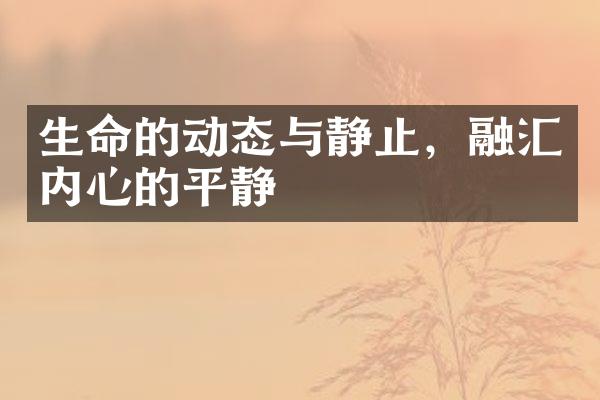 生命的动态与静止，融汇内心的平静