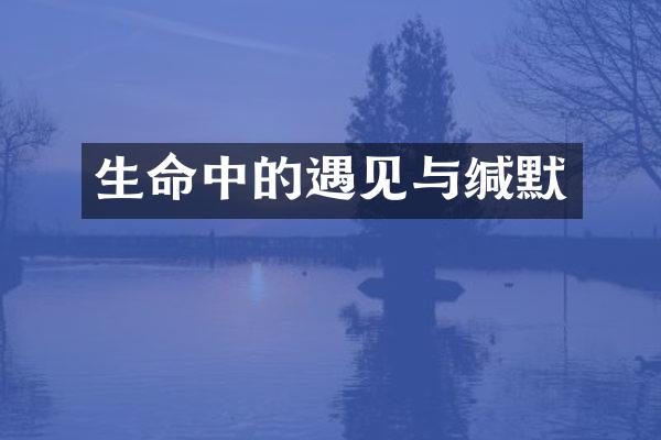 生命中的遇见与缄默