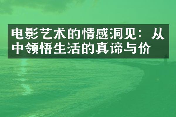 电影艺术的情感洞见：从中领悟生活的真谛与价值