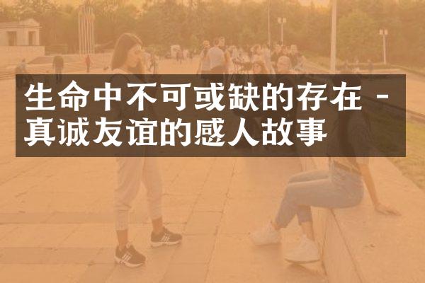 生命中不可或缺的存在 - 真诚友谊的感人故事