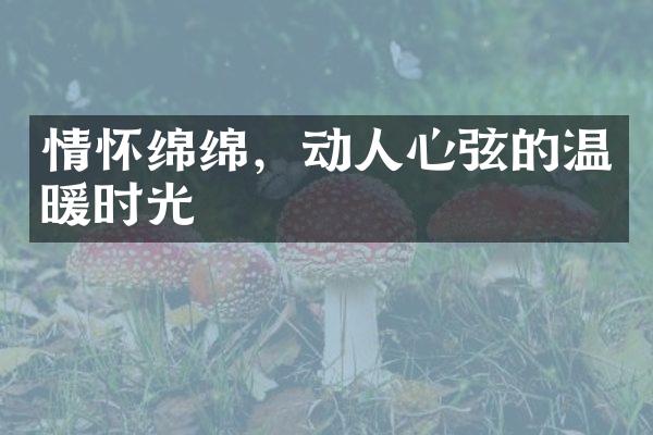情怀绵绵，动人心弦的温暖时光