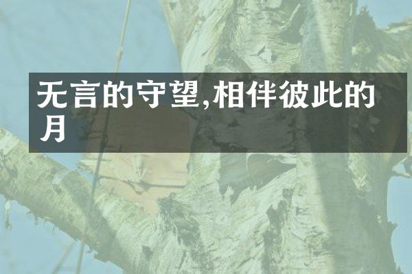 无言的守望,相伴彼此的岁月