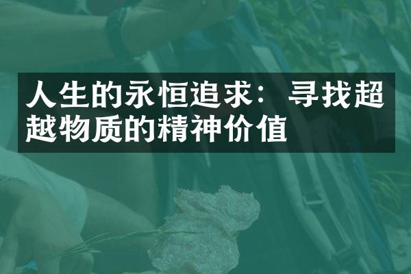 人生的永恒追求:寻找超越物质的精神价值