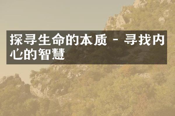 探寻生命的本质 - 寻找内心的智慧