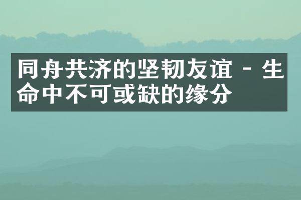 同舟共济的坚韧友谊 - 生命中不可或缺的缘分